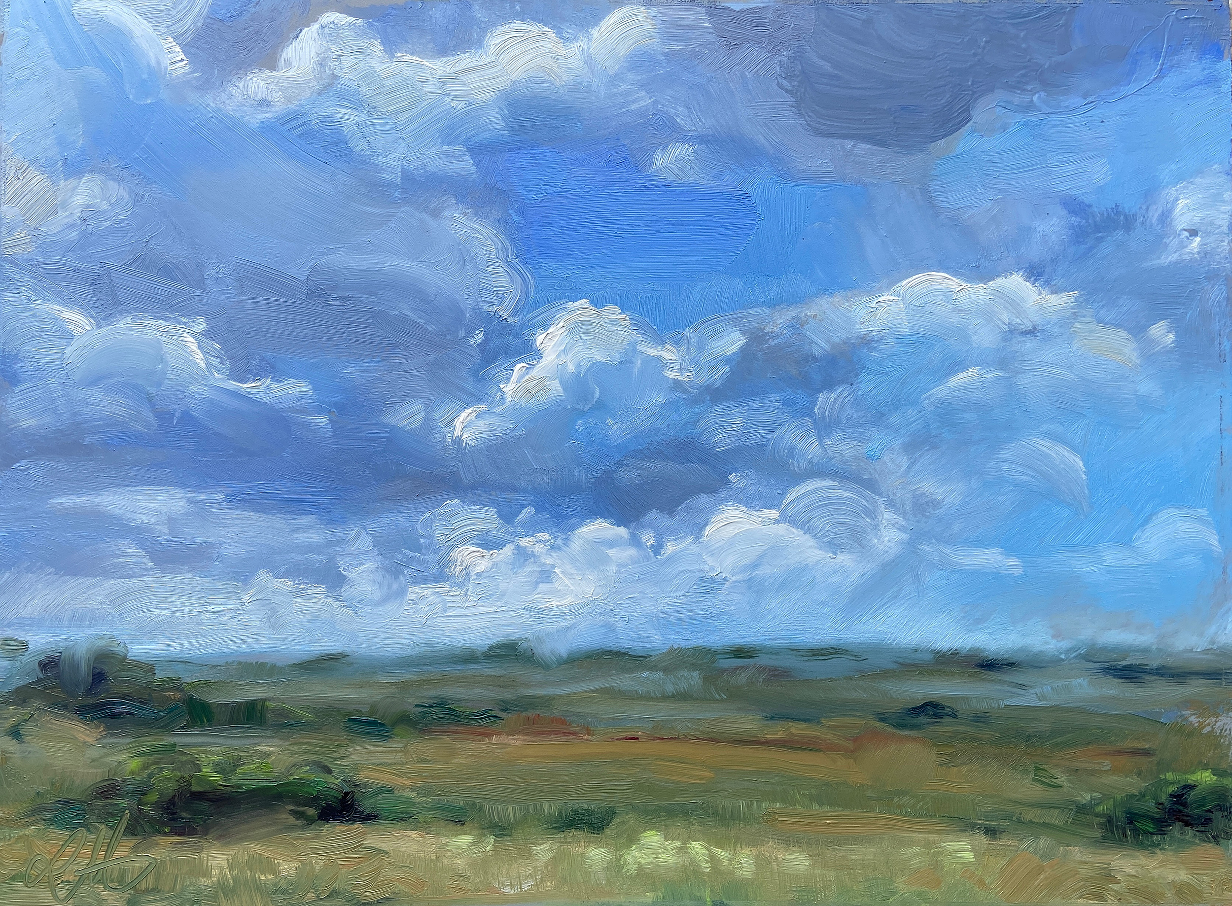 Shark Valley, 2021
9 x 12 in. Oil on Panel
Painted En Plein Air
Shark Valley Observation Tower - Everglades National Park